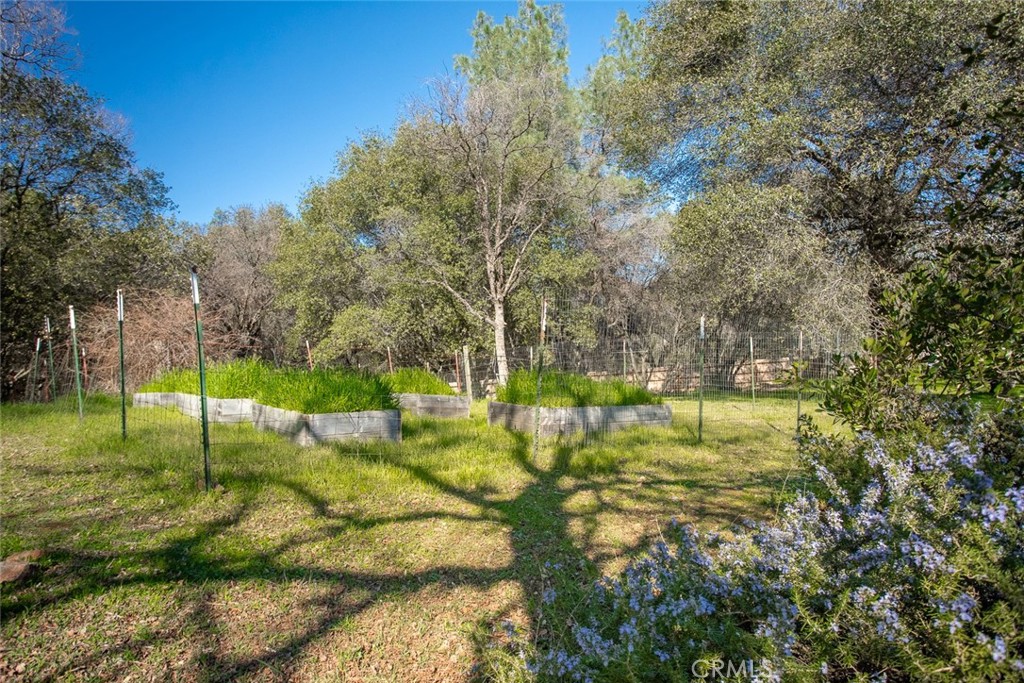 1718 Robinson Mill Road Bangor, CA 95914 - Photo 39 of 74 a backyard of a house with lots of green space