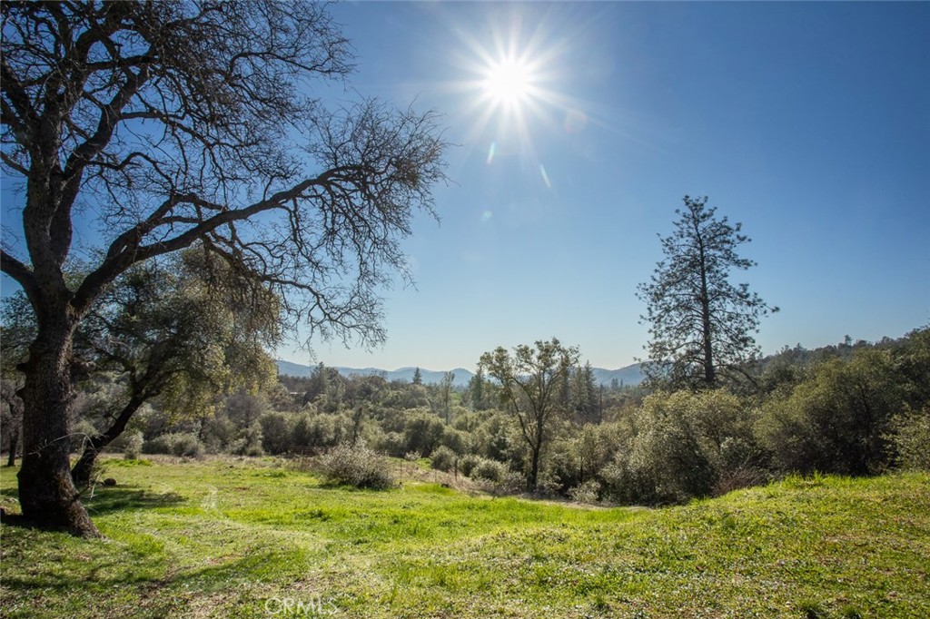 1718 Robinson Mill Road Bangor, CA 95914 - Photo 62 of 74 a big yard with lots of green space and fog