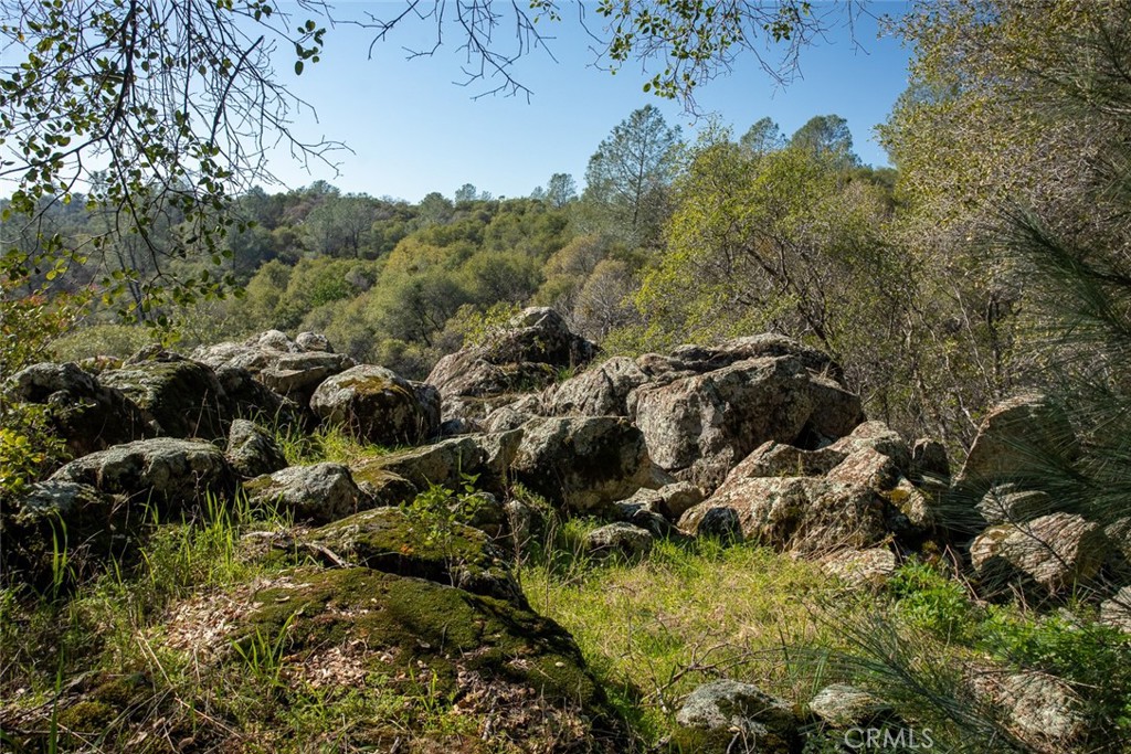 1718 Robinson Mill Road Bangor, CA 95914 - Photo 63 of 74