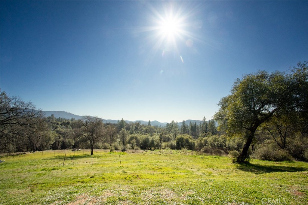 1718 Robinson Mill Road Bangor, CA 95914 - Photo 64 of 74 a view of a field with a tree in the background