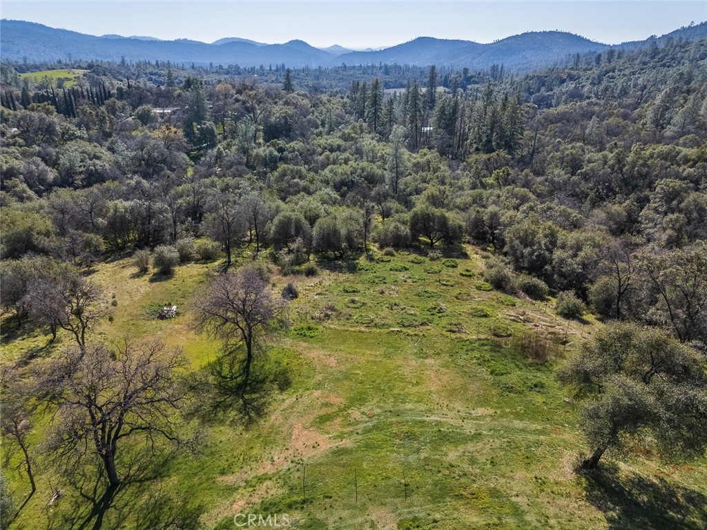 1718 Robinson Mill Road Bangor, CA 95914 - Photo 71 of 74