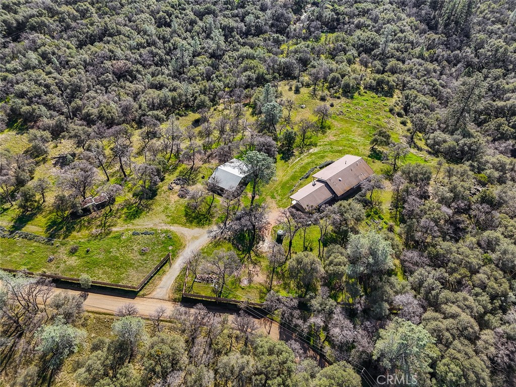 1718 Robinson Mill Road Bangor, CA 95914 - Photo 72 of 74 a view of a yard with plants and large trees