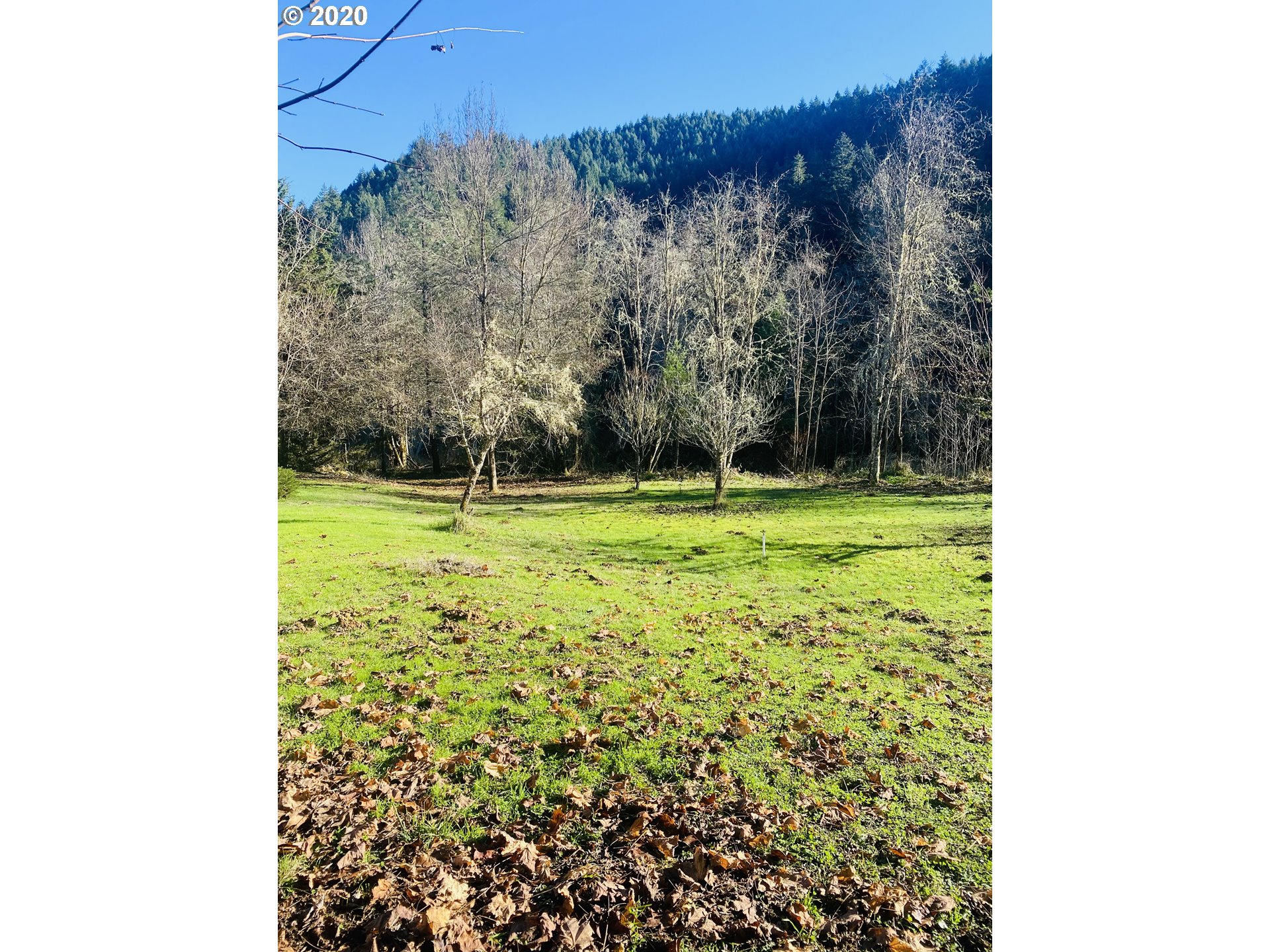 8067 North Myrtle Road Myrtle Creek, OR 97457 - Photo 6 of 26 Gallery Image 6