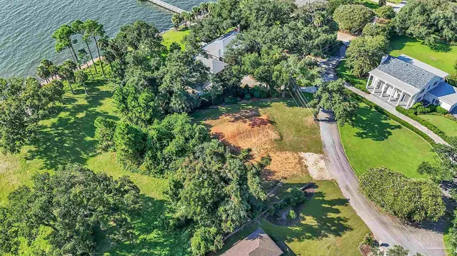 a view of a yard with plants