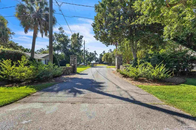 a view of a yard with palm trees
