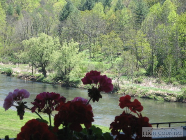 119 Cooper Cove Road Crumpler, NC 28617 - Photo 8 of 21 Gallery Image 8