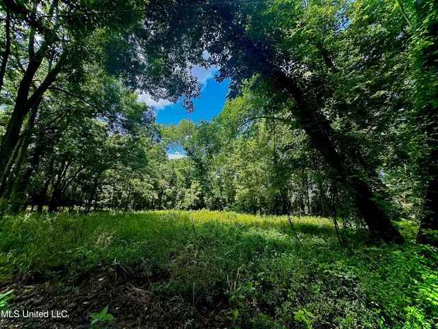 $47,000 | 5792 Lake Mary Road, Woodville, MS 39669