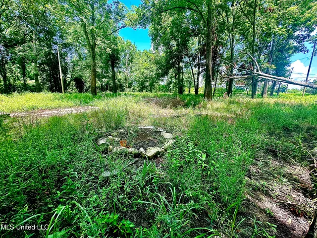 $47,000 | 5792 Lake Mary Road, Woodville, MS 39669