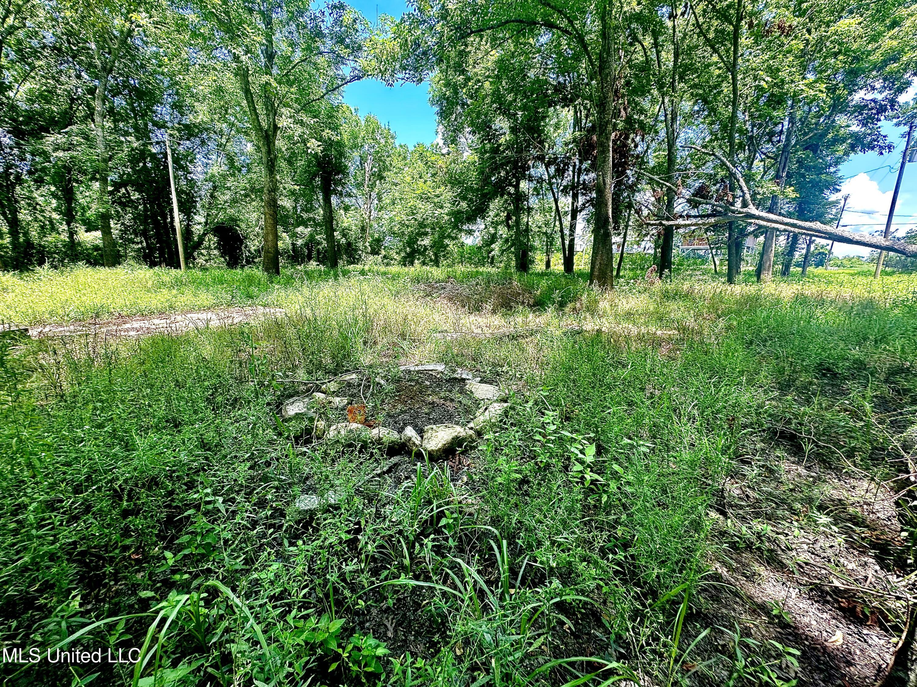 5792 Lake Mary Road Woodville, MS 39669 - Photo 3 of 6 IMG_8829