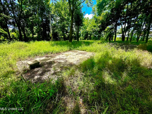 $47,000 | 5792 Lake Mary Road, Woodville, MS 39669