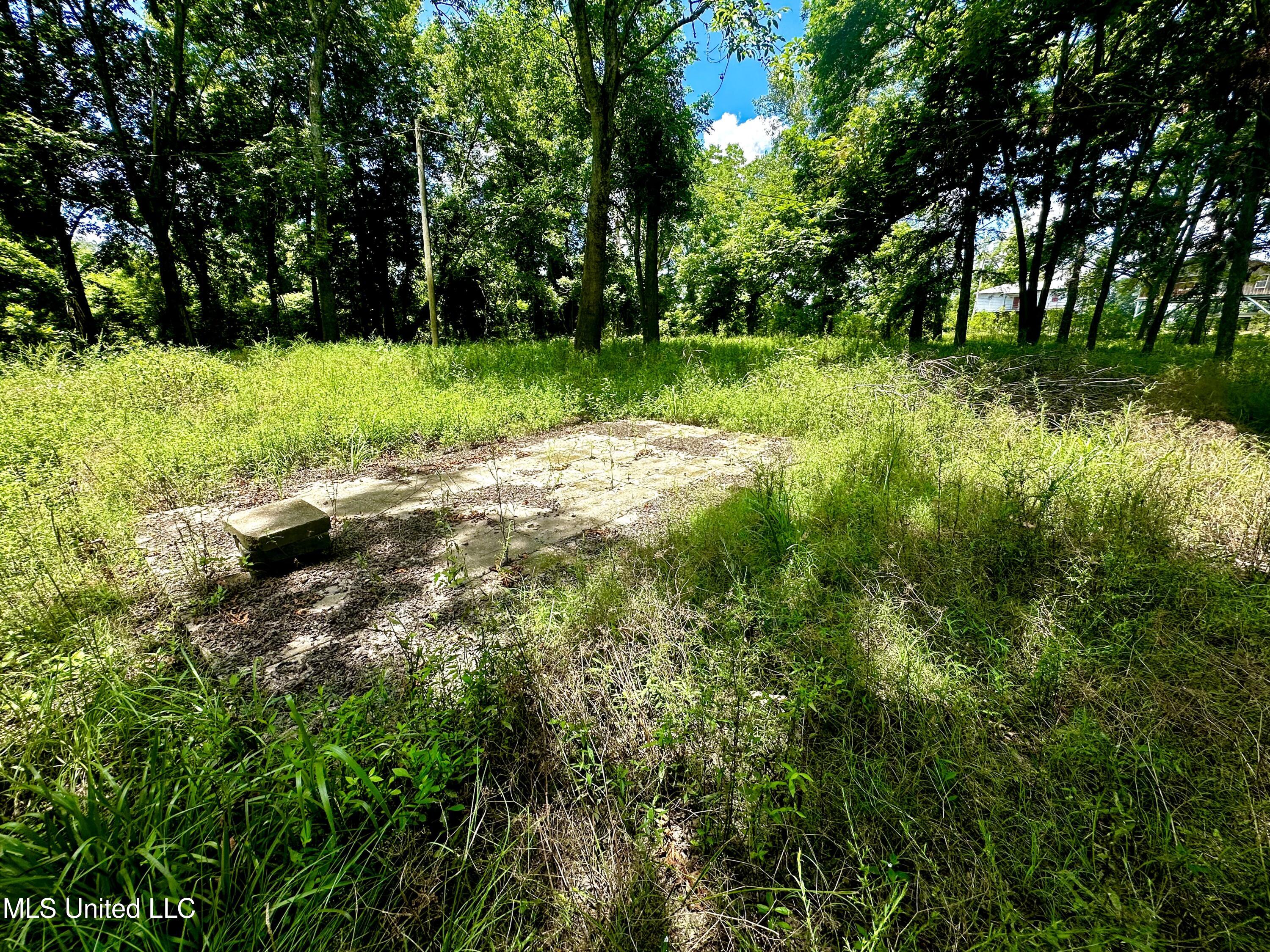 5792 Lake Mary Road Woodville, MS 39669 - Photo 4 of 6 IMG_8830