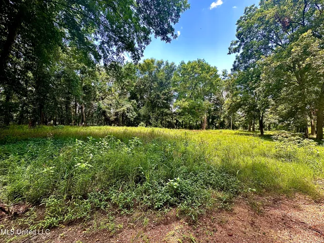 $47,000 | 5792 Lake Mary Road, Woodville, MS 39669