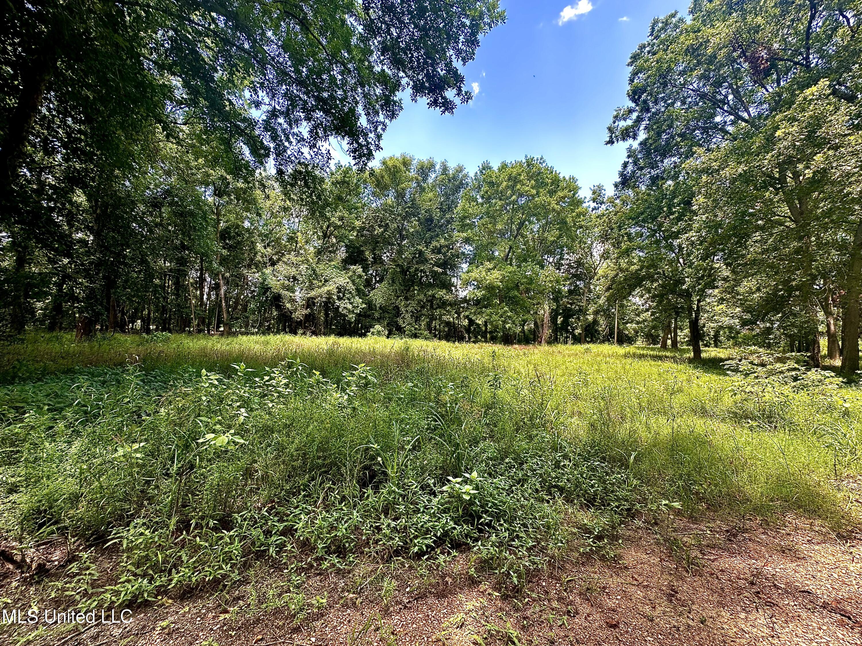 5792 Lake Mary Road Woodville, MS 39669 - Photo 5 of 6 IMG_8823