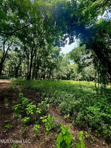 $47,000 | 5792 Lake Mary Road, Woodville, MS 39669