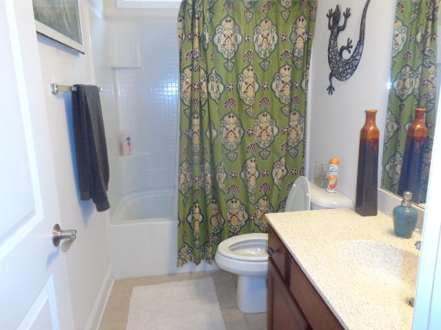 356 Decatur Drive Summerville, SC 29486 - Photo 17 of 22 Bath3