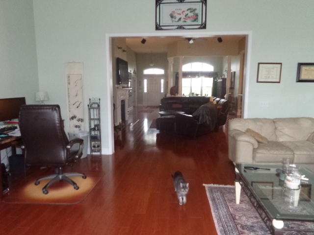 356 Decatur Drive Summerville, SC 29486 - Photo 10 of 22 Sun3