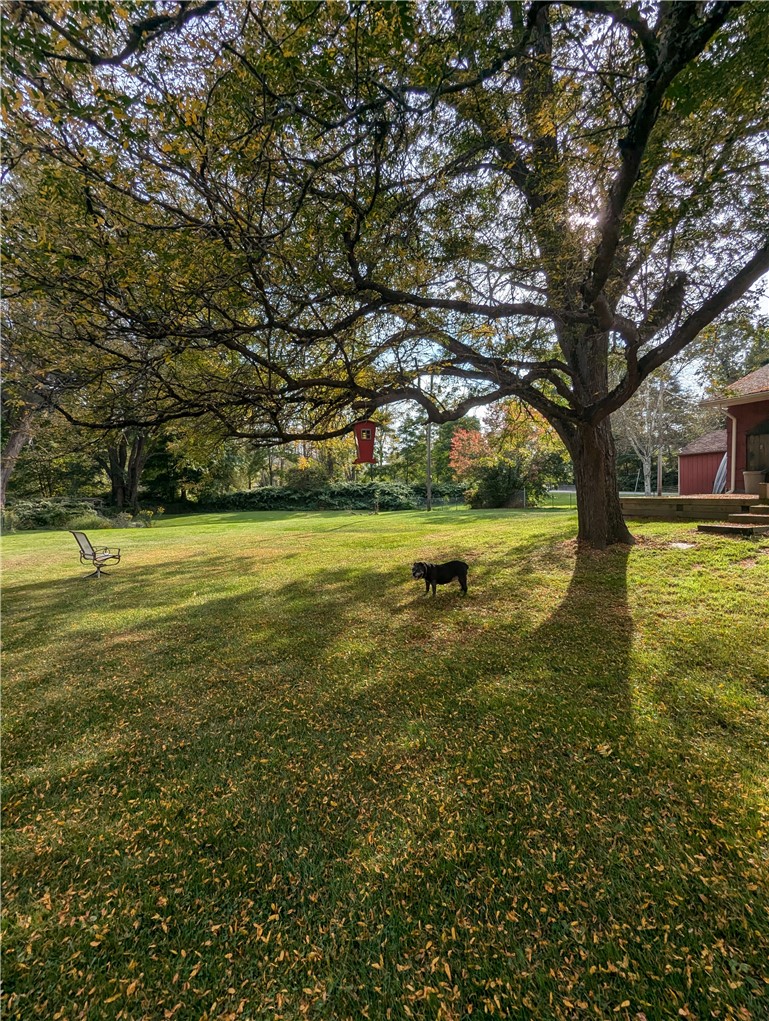 142 Stillwater Road Oneonta, NY 13820 - Photo 43 of 50