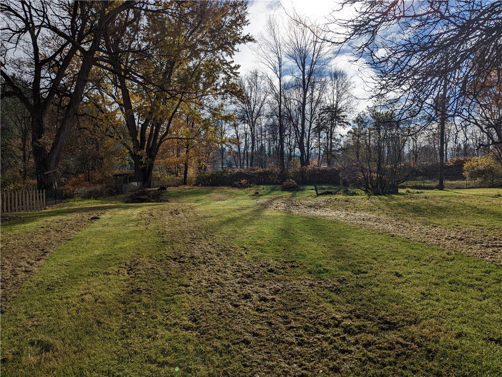 142 Stillwater Road Oneonta, NY 13820 - Photo 47 of 50