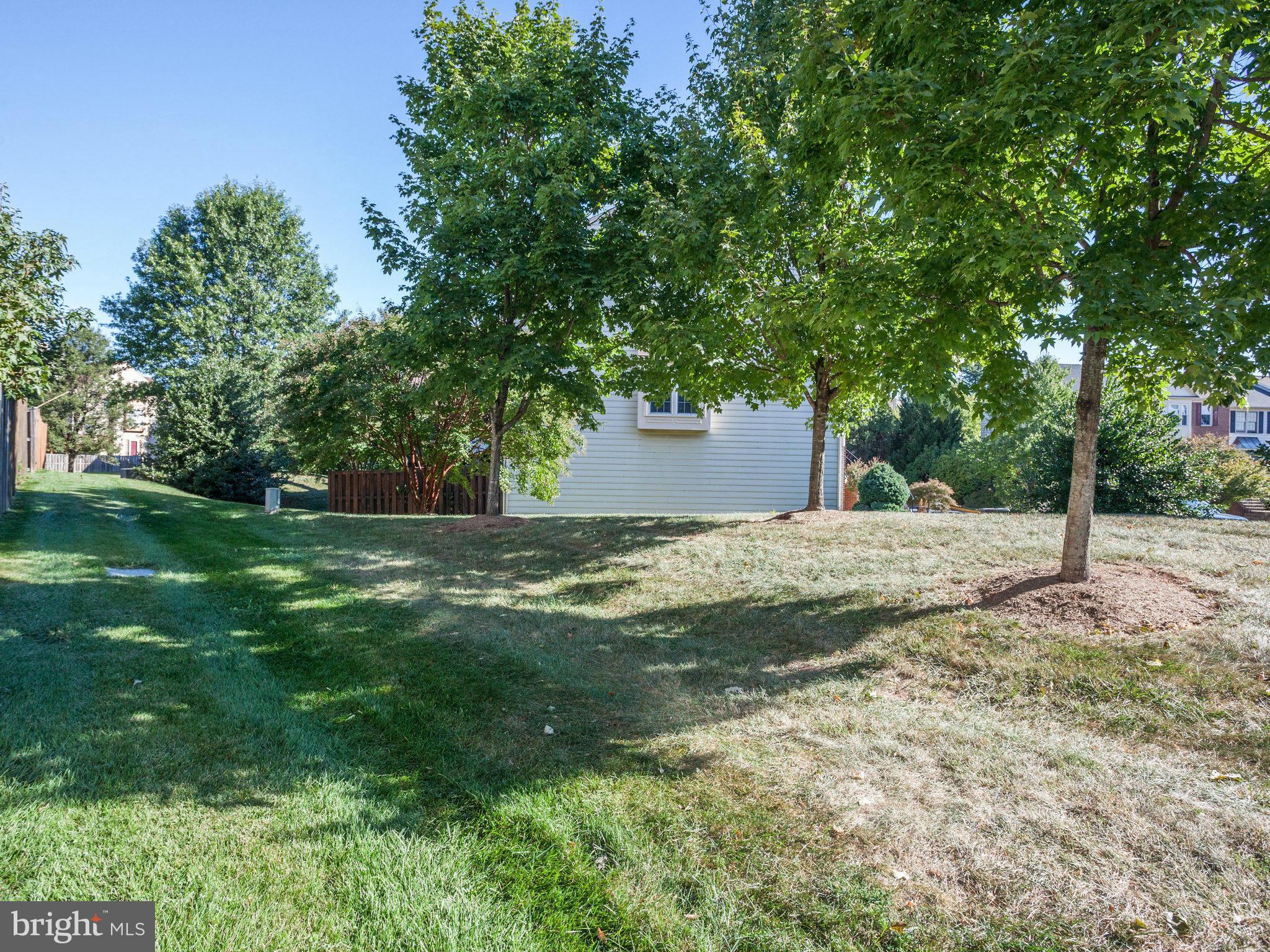 46860 Rabbitrun Terrace Sterling, VA 20164 - Photo 29 of 30 View in back from deck