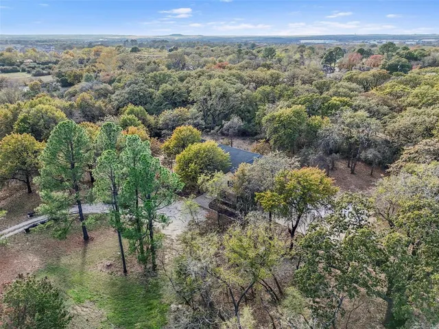a view of a forest with a lake
