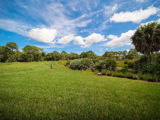 a view of a big yard with potted plants and large tree