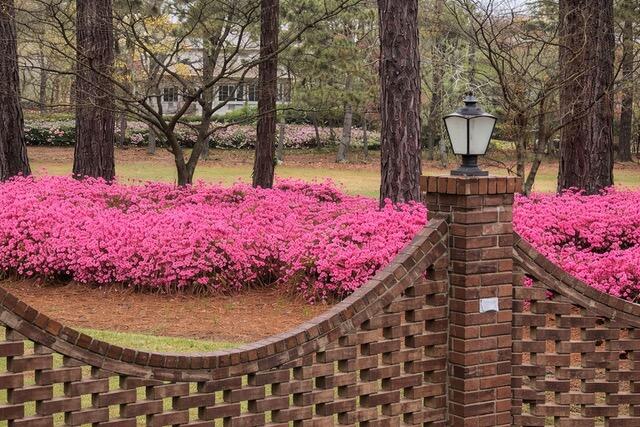 913 Holley Lake Road Aiken, SC 29803 - Photo 18 of 19 Unknown