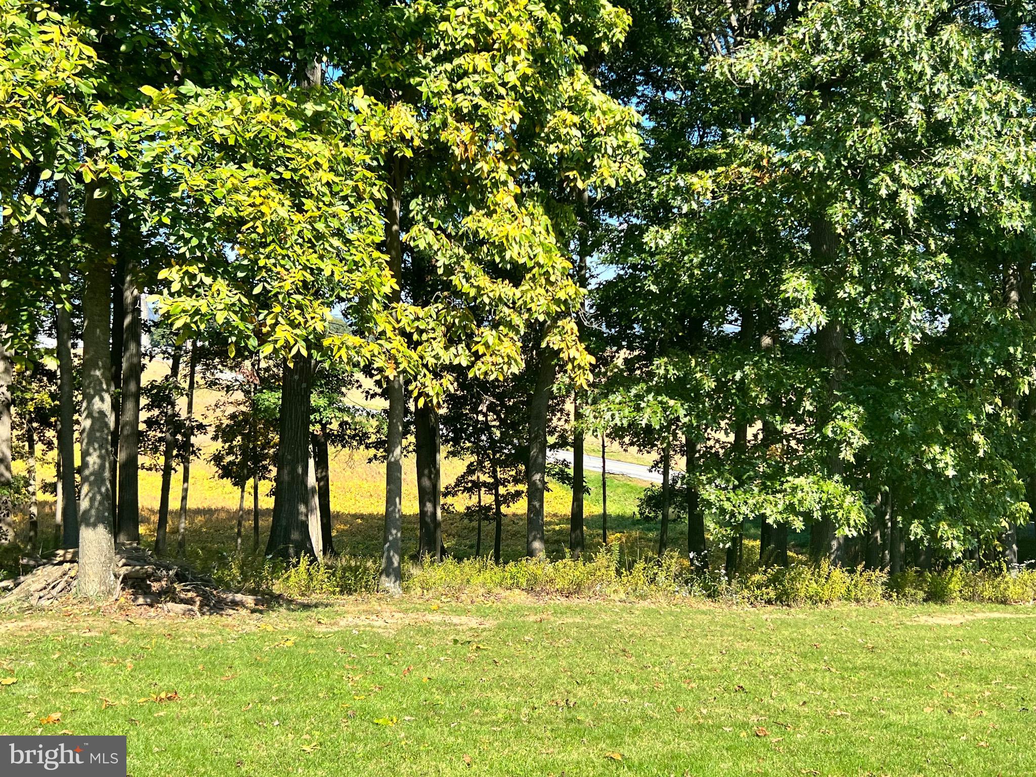 183 County Line Road Palmyra, PA 17078 - Photo 65 of 80