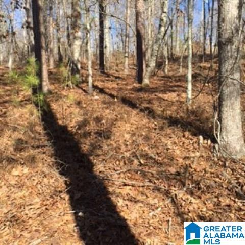 338 Davis Acres Drive, Unit 1 Alpine, AL 35014 - Photo 7 of 19