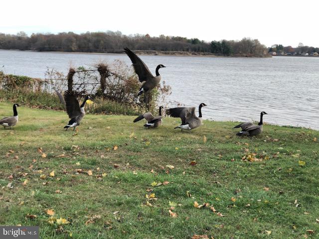 3205 Delaire Landing Road Philadelphia, PA 19114 - Photo 25 of 27