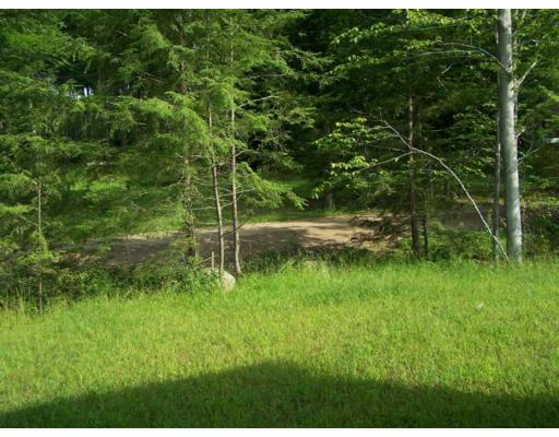 Lot A Cut Off Road Barre, MA 01005 - Photo 18 of 18 a view of a lush green forest