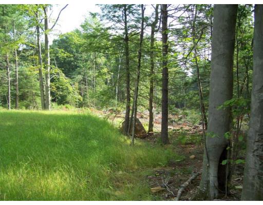 Lot A Cut Off Road Barre, MA 01005 - Photo 6 of 18 a backyard of a house with lots of green space