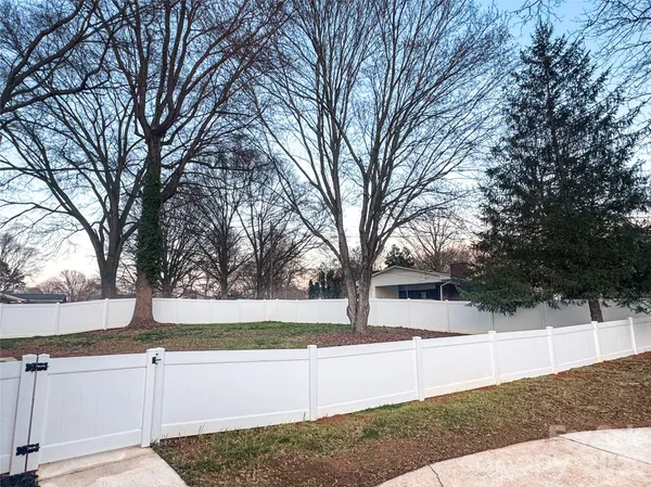 a view of a yard with trees