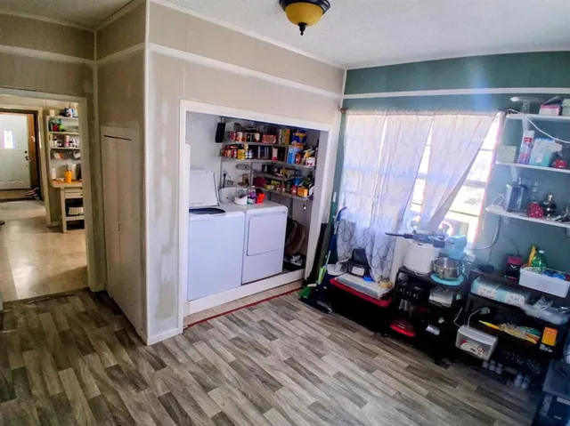 a view of a park with large trees