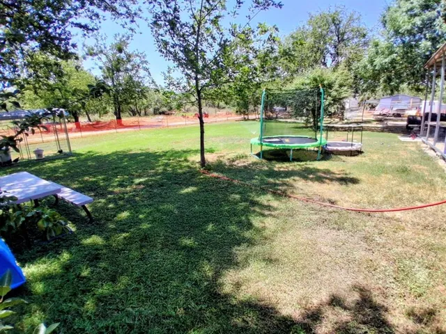a view of a tree in a yard
