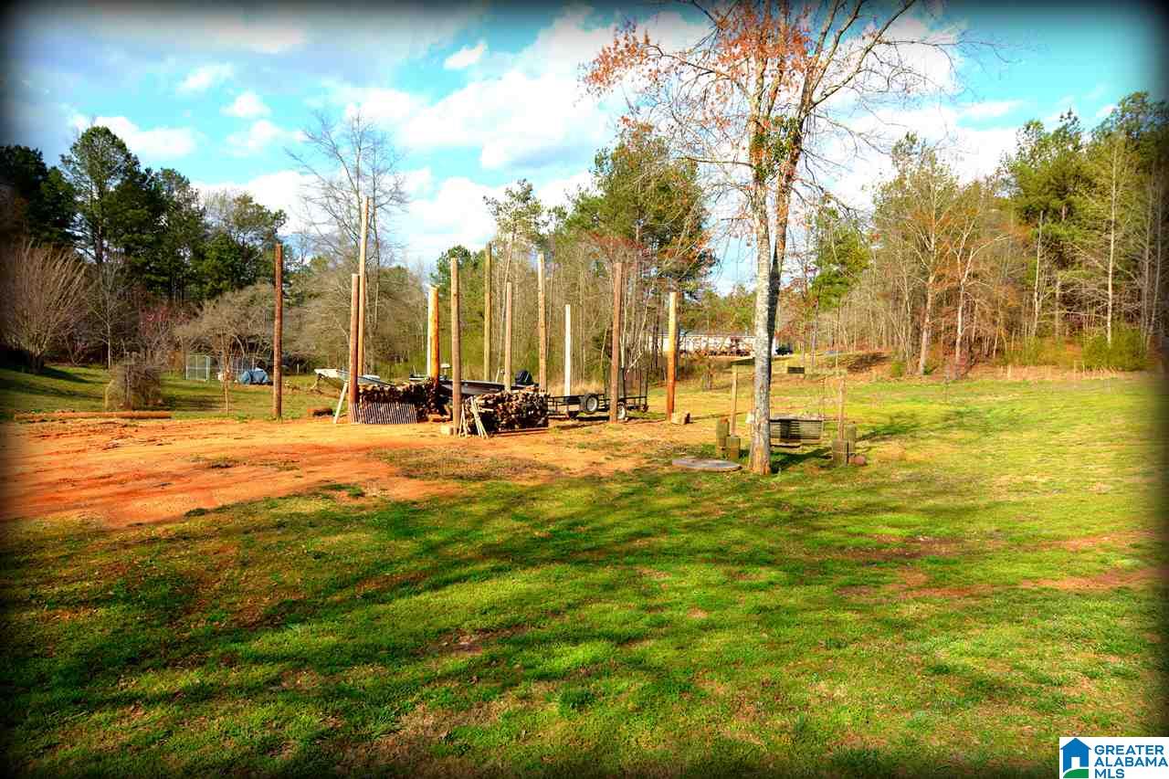 407 Deerfield Road Pell City, AL 35125 - Photo 46 of 49 Gallery Image 46