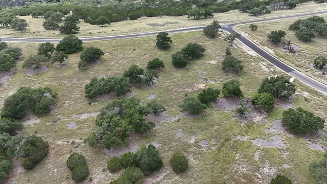 a view of a yard with plants