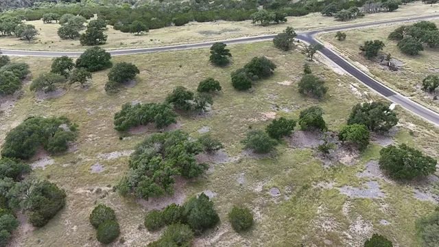 a view of a yard with plants