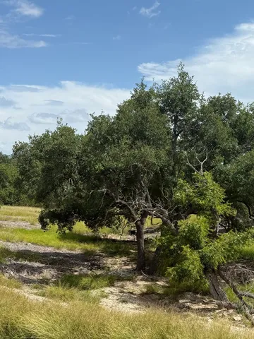 a view of a lake with houses in the background