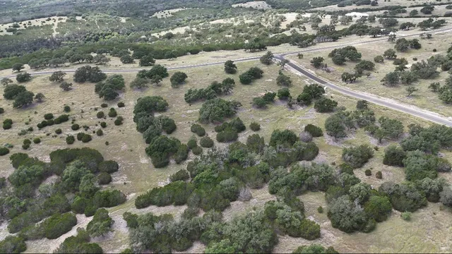 a view of a forest with a building