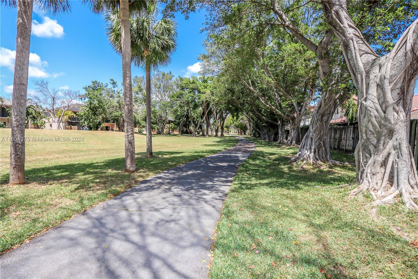 15253 Southwest 111th Street Miami, FL 33196 - Photo 29 of 32 a view of a yard with a tree