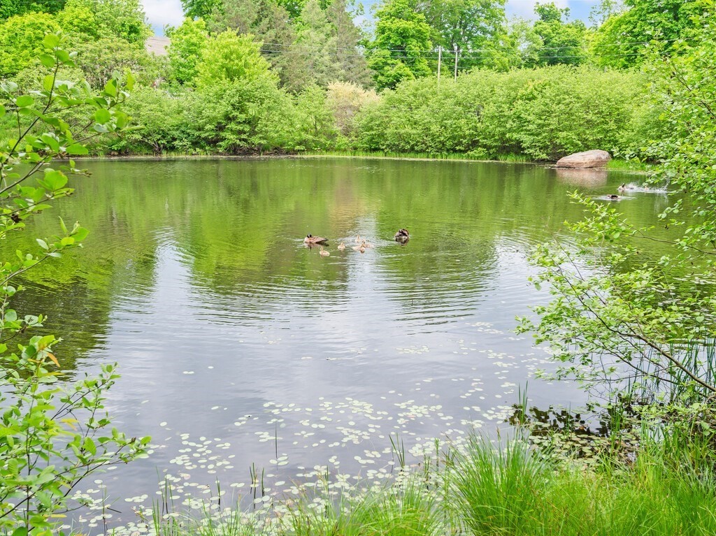 50 Little Rest Road Brimfield, MA 01010 - Photo 4 of 42