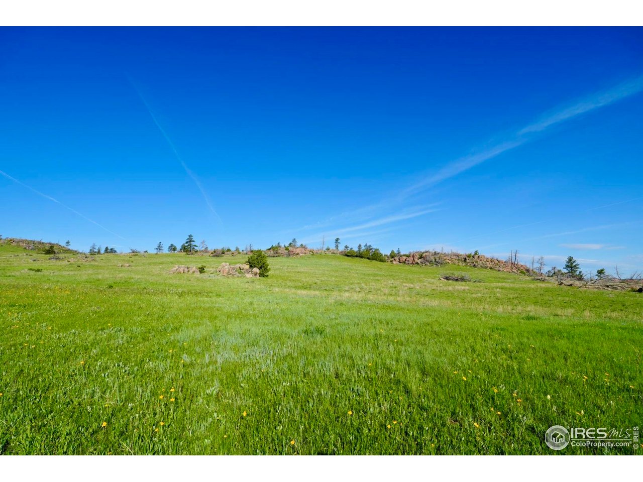 0 82 E Road Livermore, CO 80536 - Photo 12 of 31 Gallery Image 12