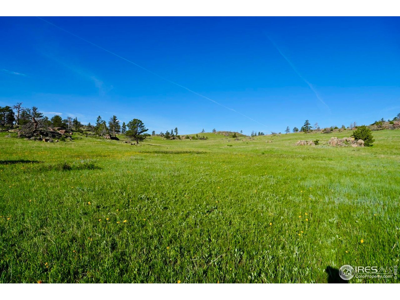 0 82 E Road Livermore, CO 80536 - Photo 10 of 31 Gallery Image 10