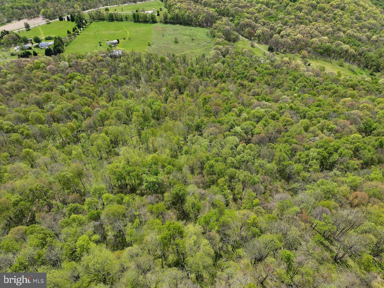 119 Heavens Vw Road Schellsburg, PA 15559 - Photo 10 of 35