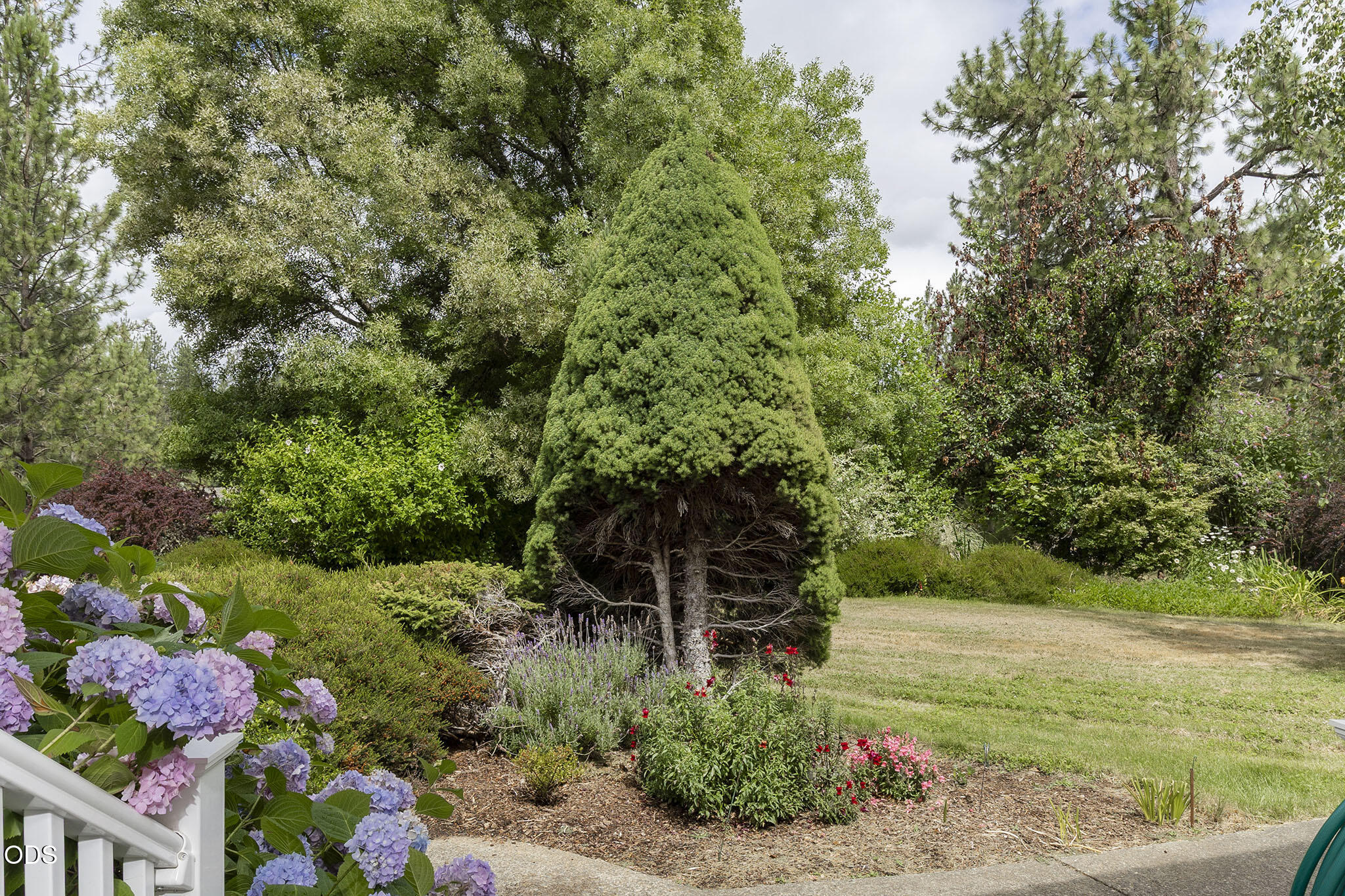 279 Ridgefield Road Grants Pass, OR 97527 - Photo 45 of 62