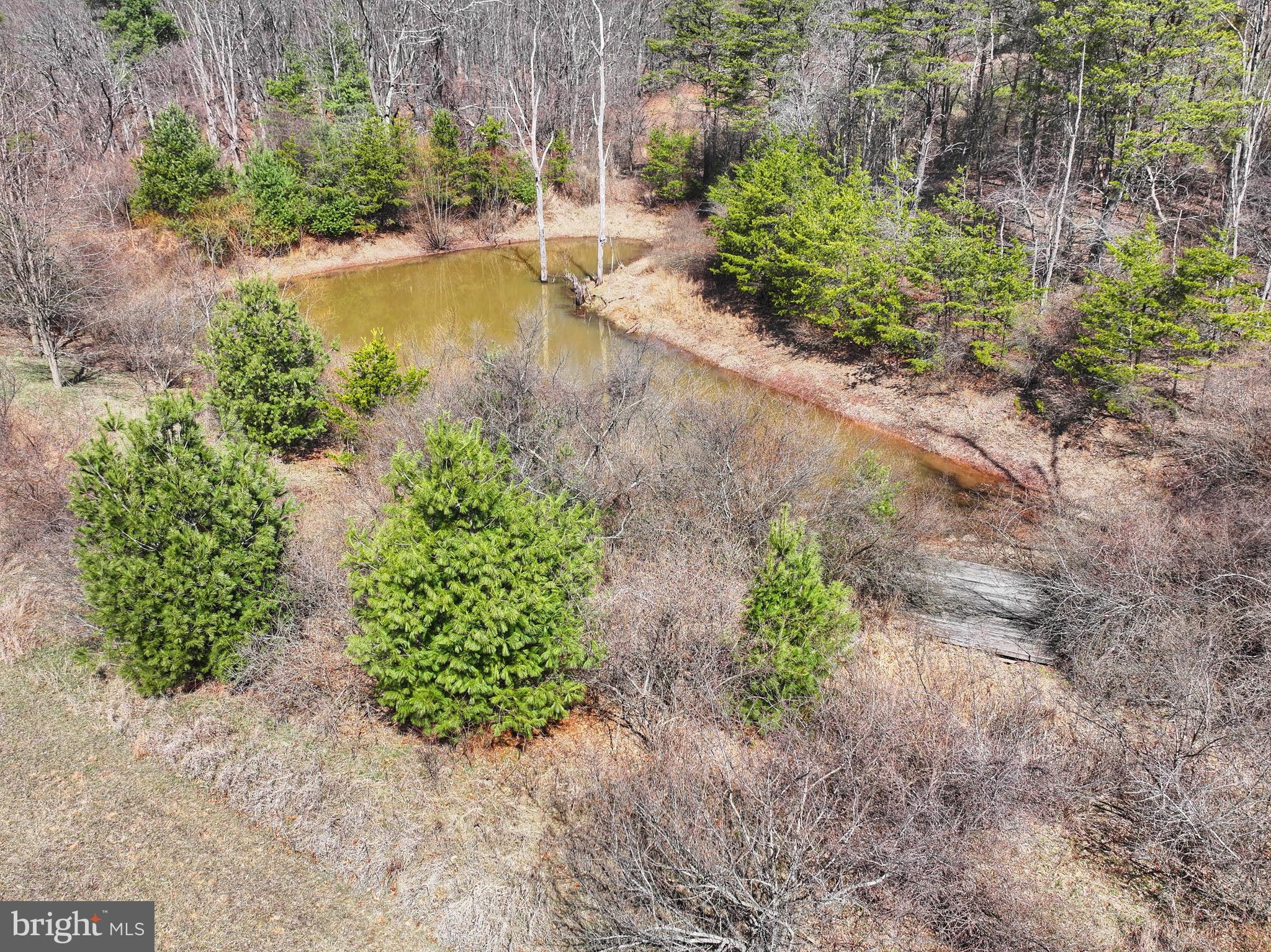 318 Tannery Road Breezewood, PA 15533 - Photo 13 of 81