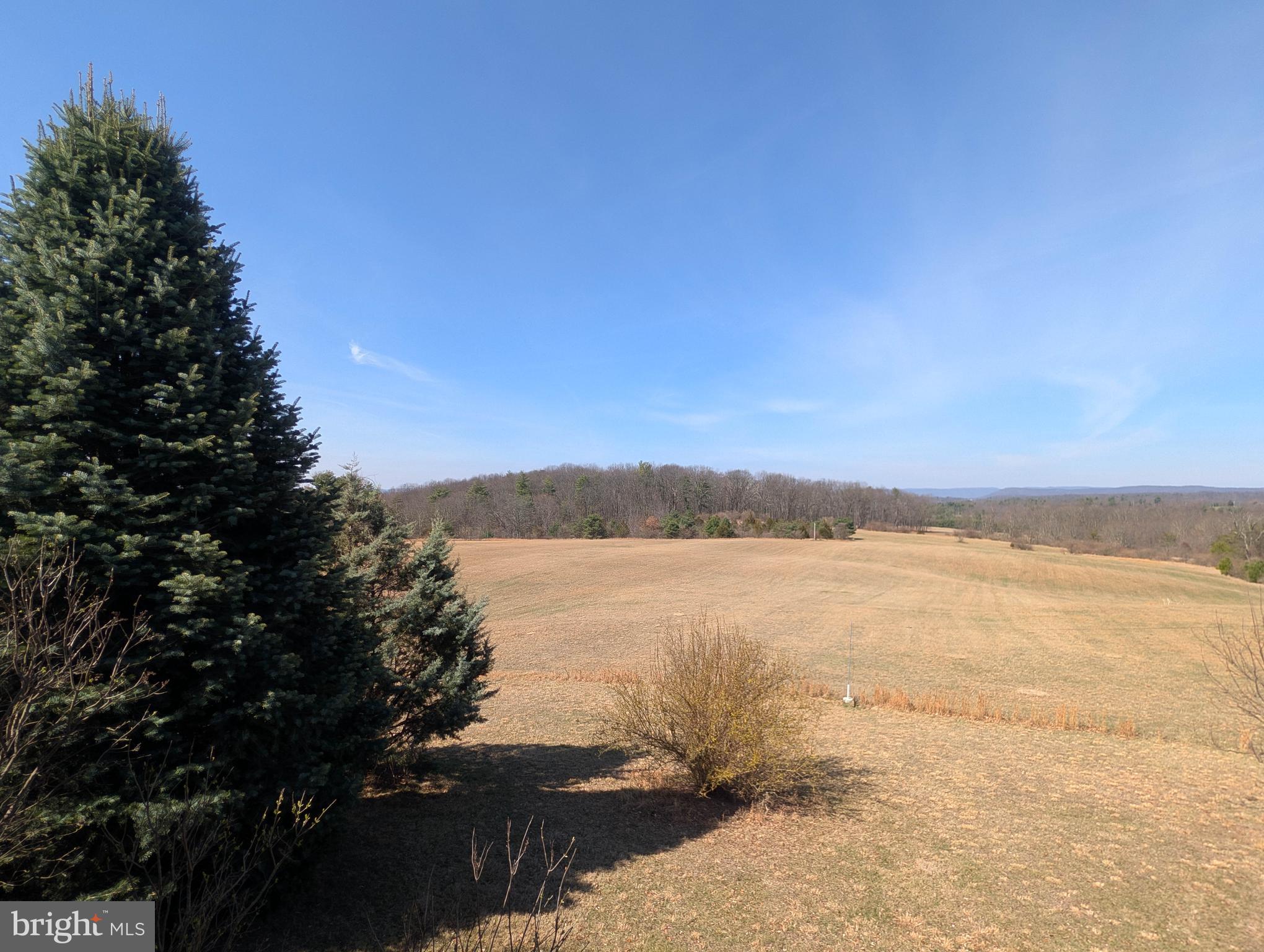 318 Tannery Road Breezewood, PA 15533 - Photo 19 of 81