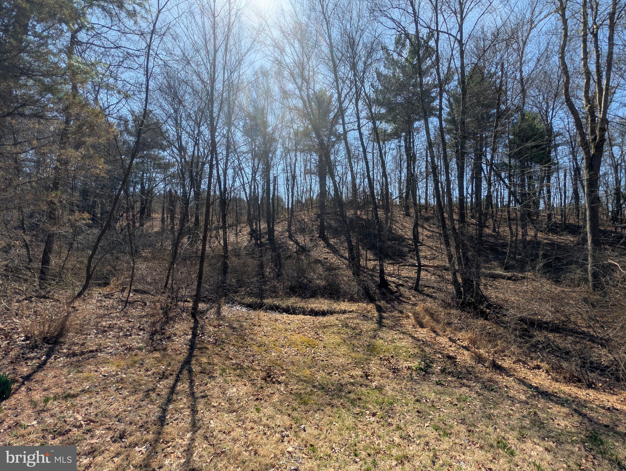 318 Tannery Road Breezewood, PA 15533 - Photo 23 of 81
