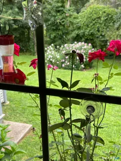 a view of a house with a deck