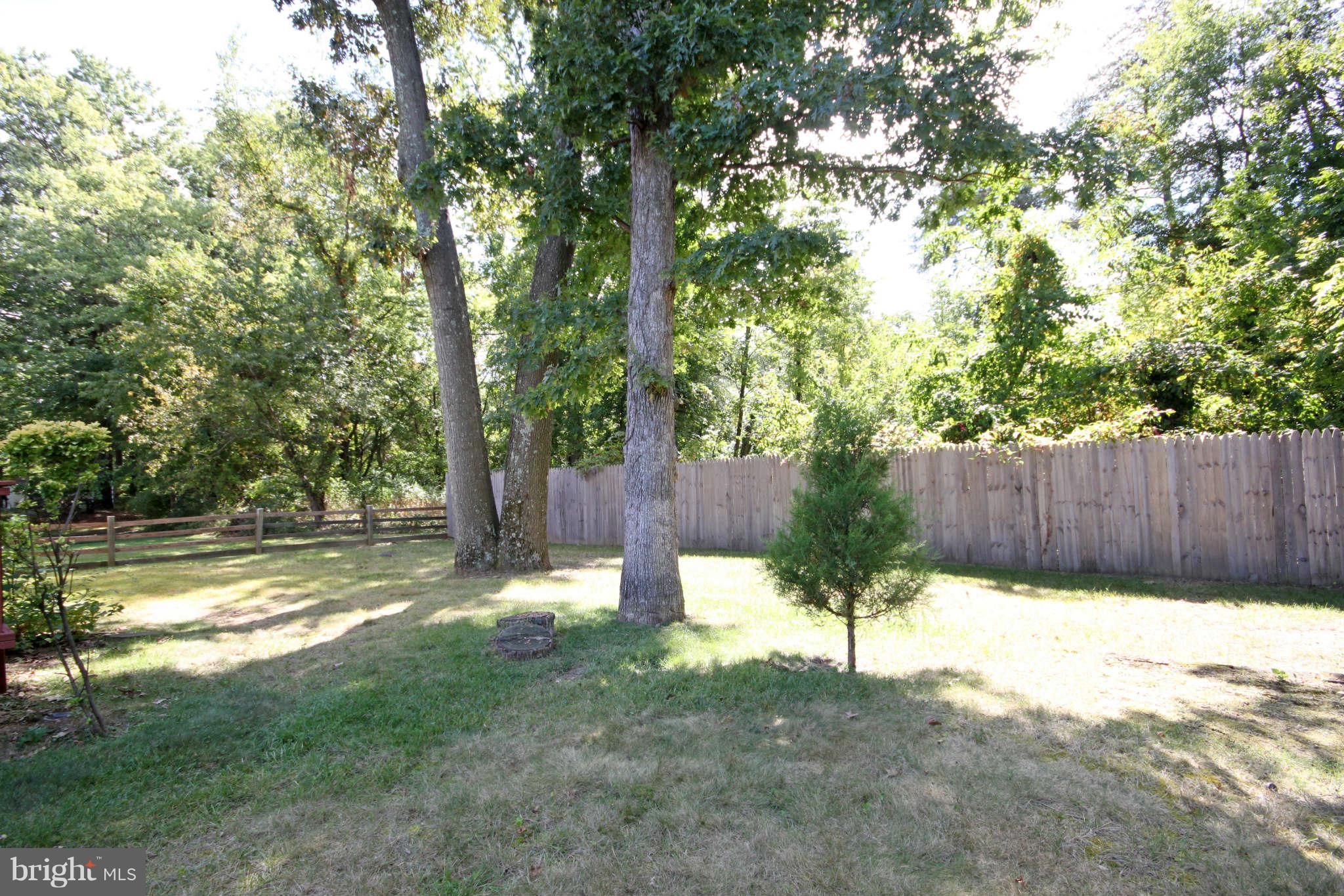 5500 Blacksburg Road Springfield, VA 22151 - Photo 24 of 26 Exterior (General)